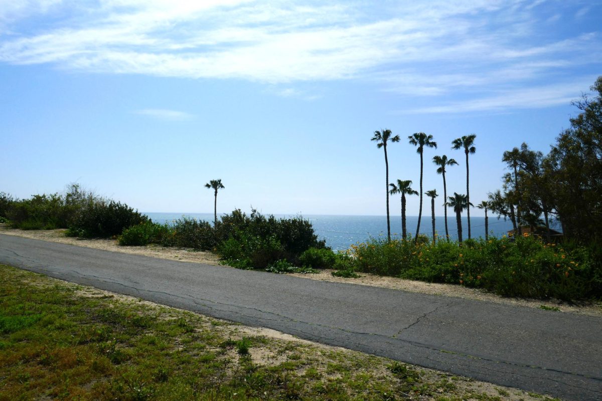 A beautiful beach view!