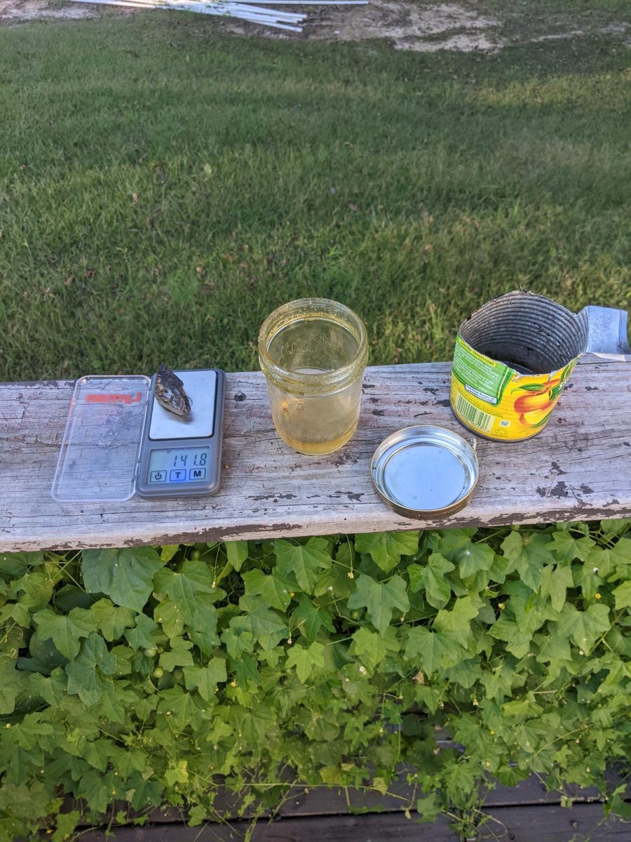 Jar is the linseed oil. The little rock on the scale is pine pitch. The jar of oil is linseed oil. The remaining can is for emulsifying. 