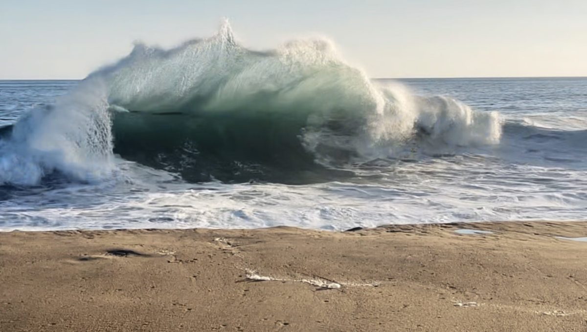 The Monster at the Wedge (Beach)