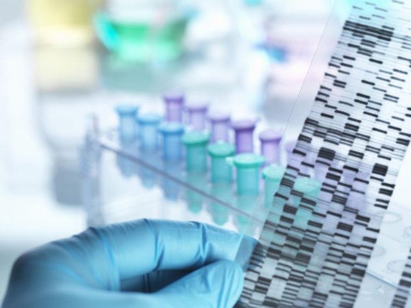 Genetic Testing: How Does it Work?